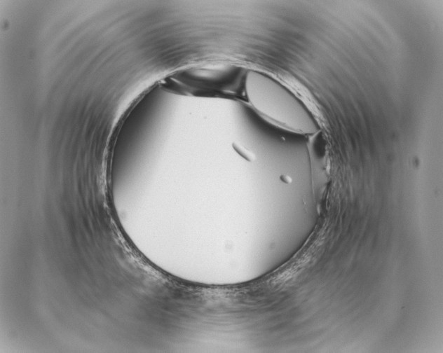 X0000087390904200705111757