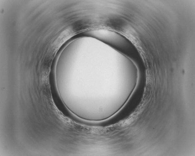 X0000087390905200705111757