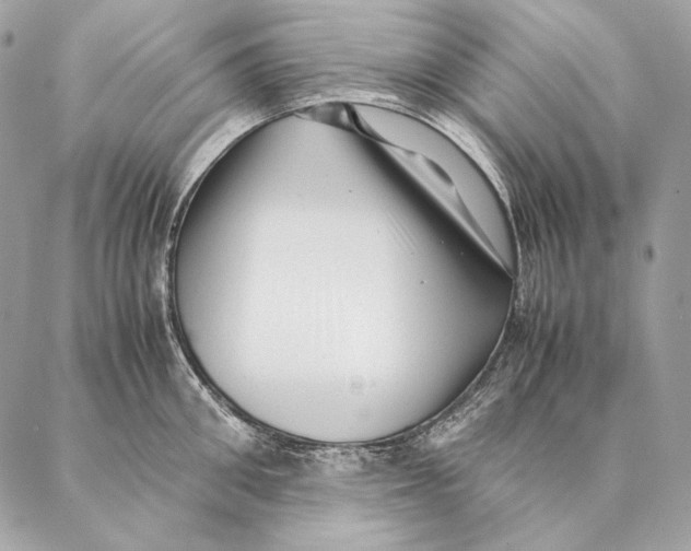 X0000087390906200705111757