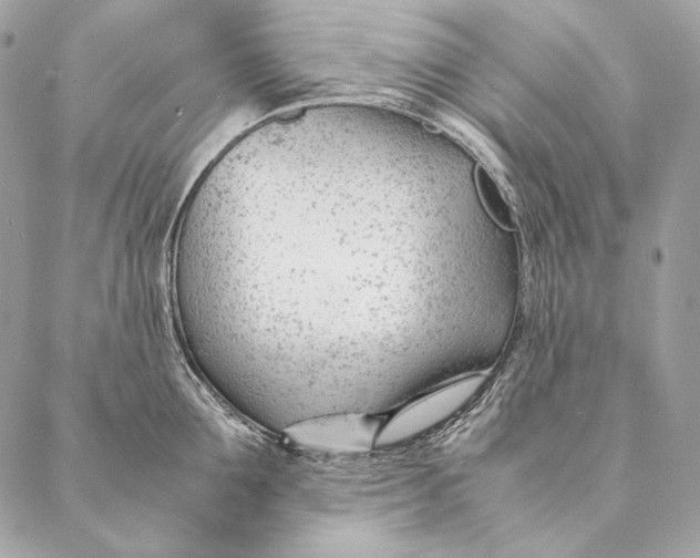 X0000087390907200705111757