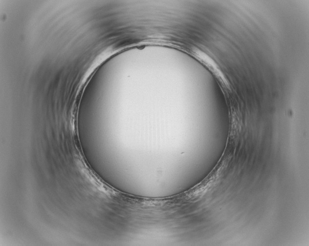 X0000087390908200705111757