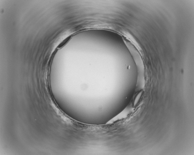 X0000087390909200705111757