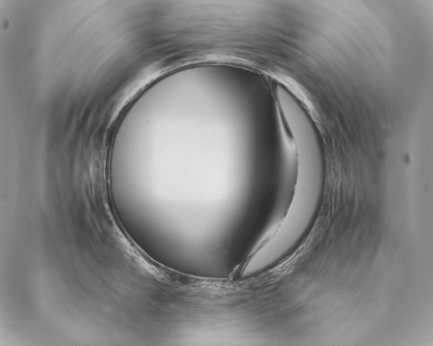 X0000087390910200705111757