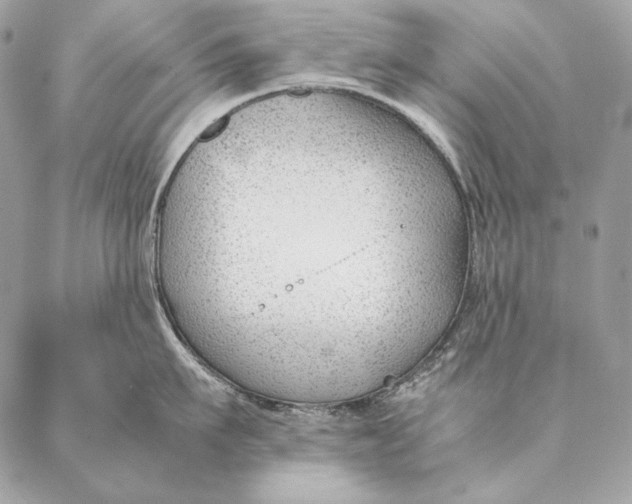 X0000087390911200705111757