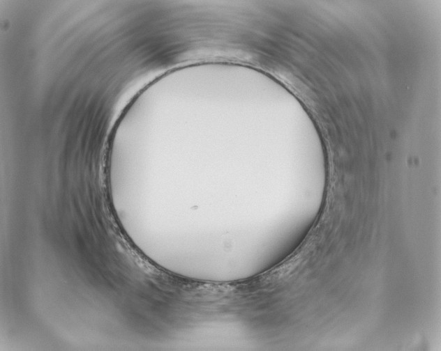 X0000087390912200705111757