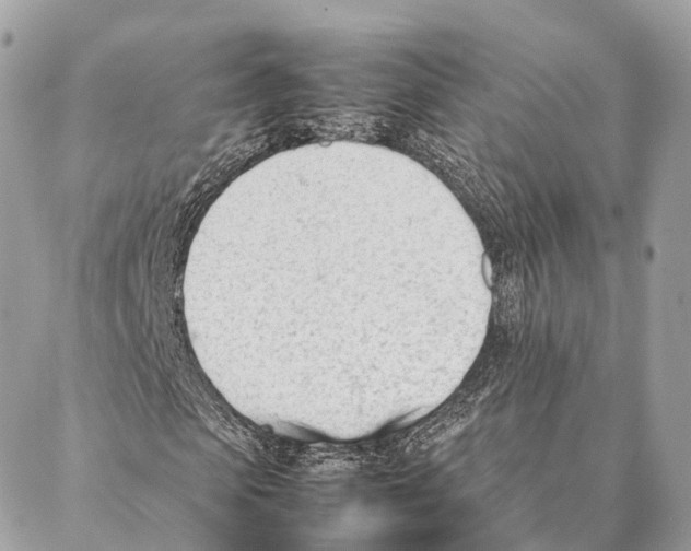 X0000087390913200705111756