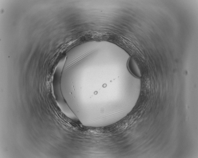 X0000087390914200705111756