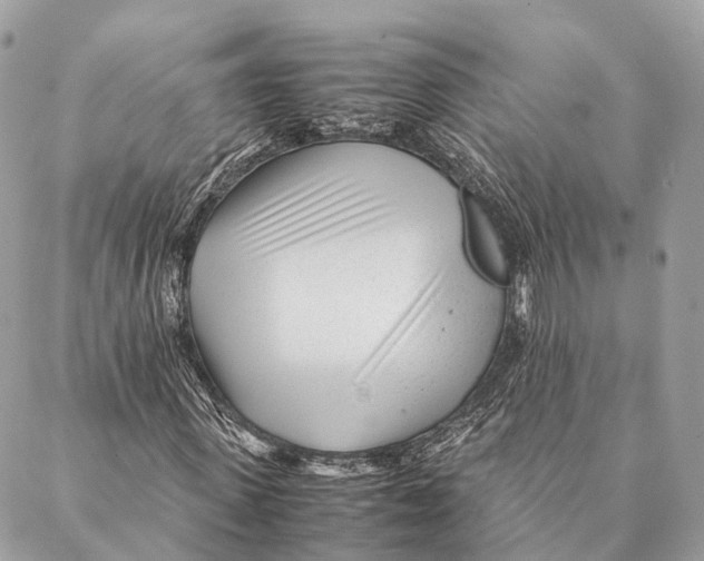 X0000087390915200705111757