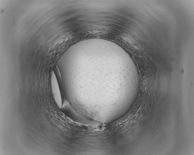 X0000087390917200705111757