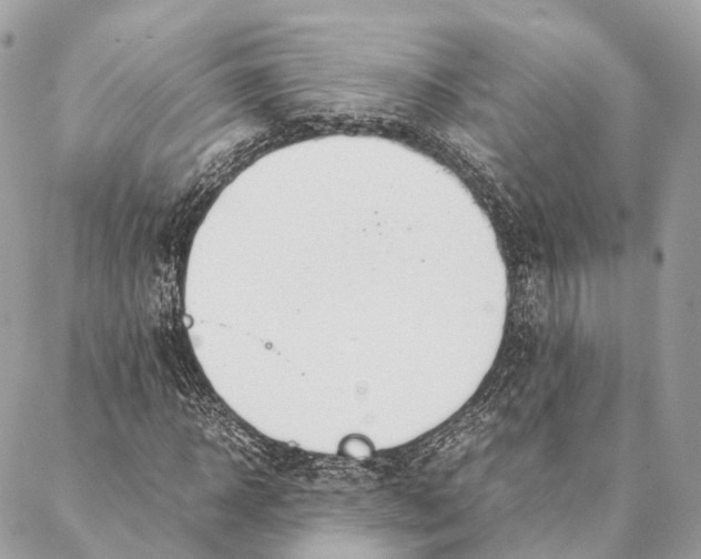 X0000087390918200705111757