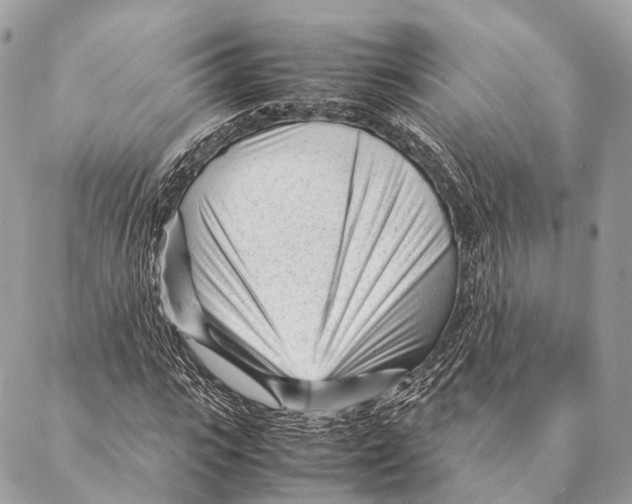 X0000087390919200705111757