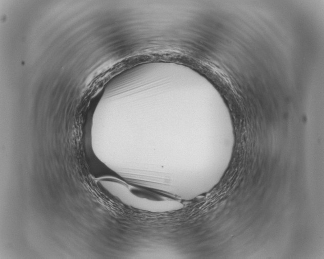 X0000087390920200705111757