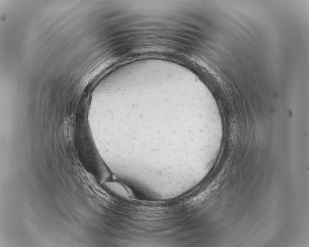 X0000087390921200705111757