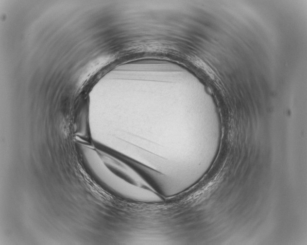 X0000087390922200705111757