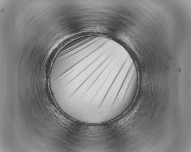 X0000087390923200705111757