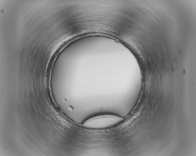 X0000087390924200705111757