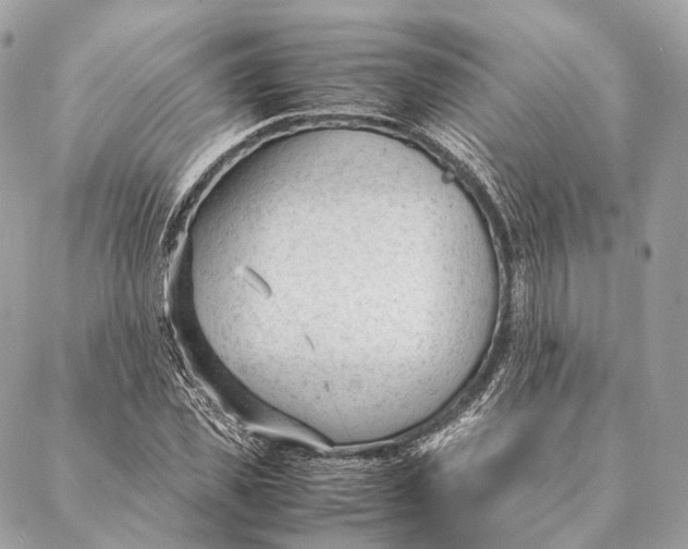 X0000087390925200705111757