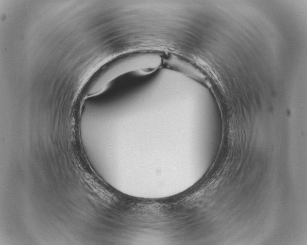 X0000087390926200705111757