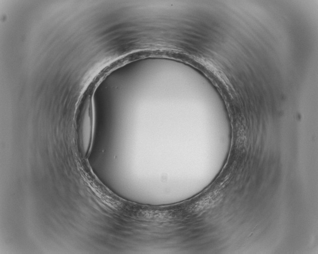 X0000087390927200705111757