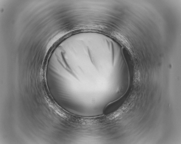 X0000087390928200705111757