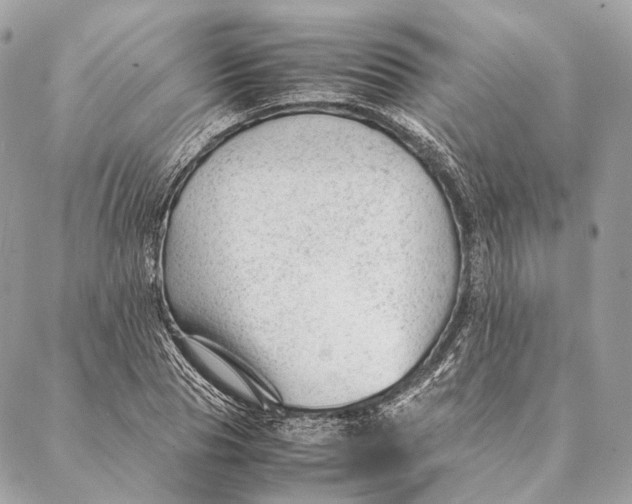 X0000087390929200705111757