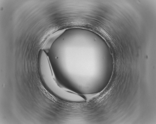 X0000087390930200705111757