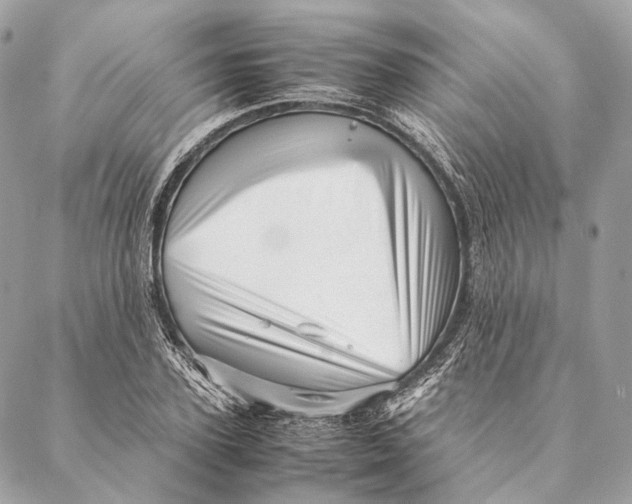 X0000087390931200705111757