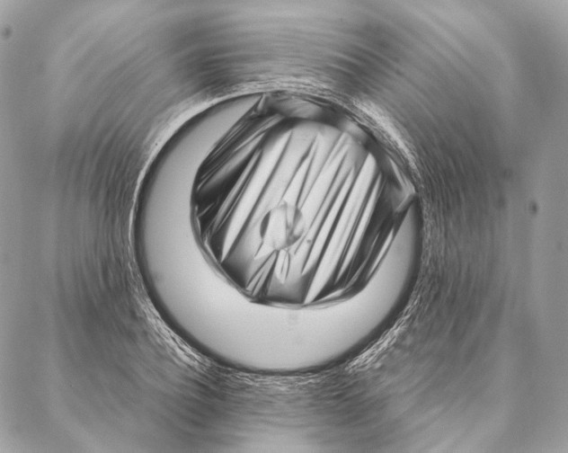 X0000087390932200705111757