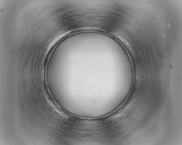 X0000087390933200705111757