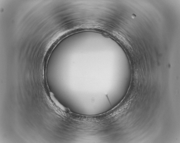 X0000087390934200705111757