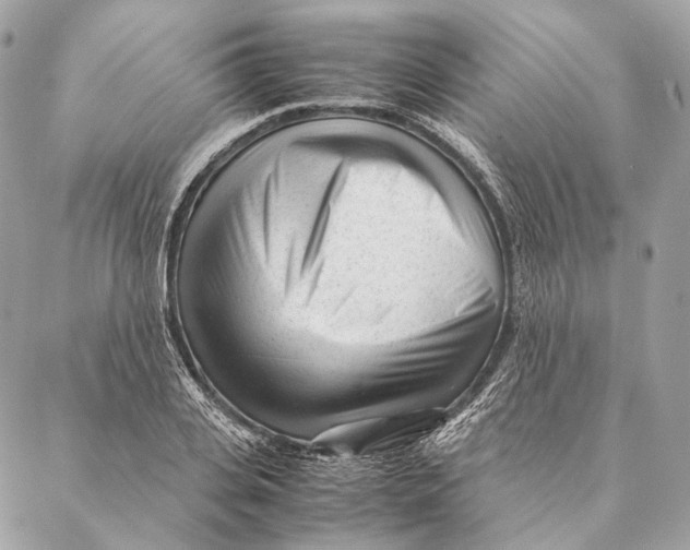 X0000087390935200705111757