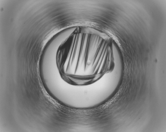 X0000087390936200705111757