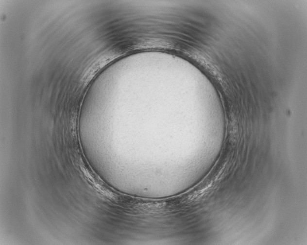 X0000087390937200705111757