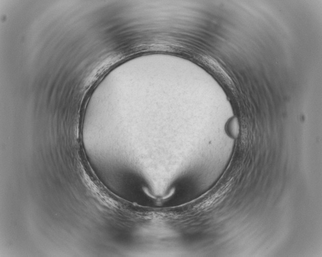 X0000087390938200705111757