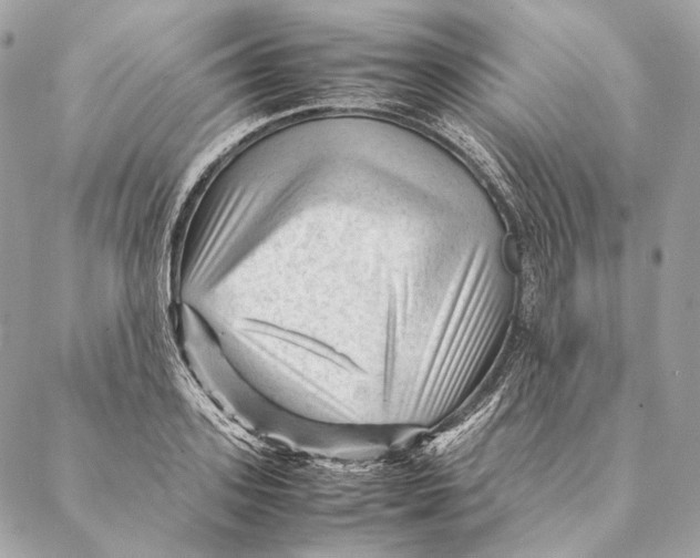 X0000087390939200705111757