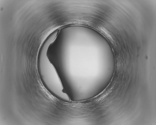 X0000087390940200705111757