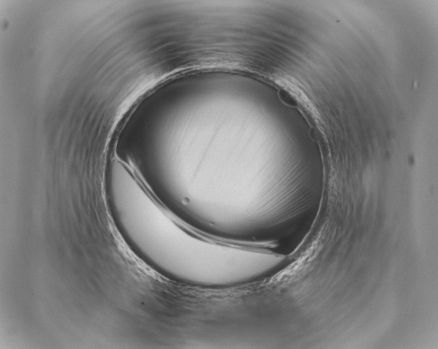 X0000087390941200705111757