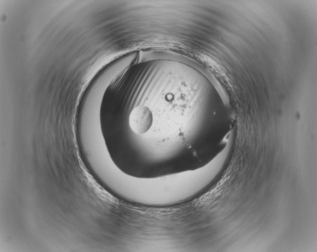 X0000087390942200705111757