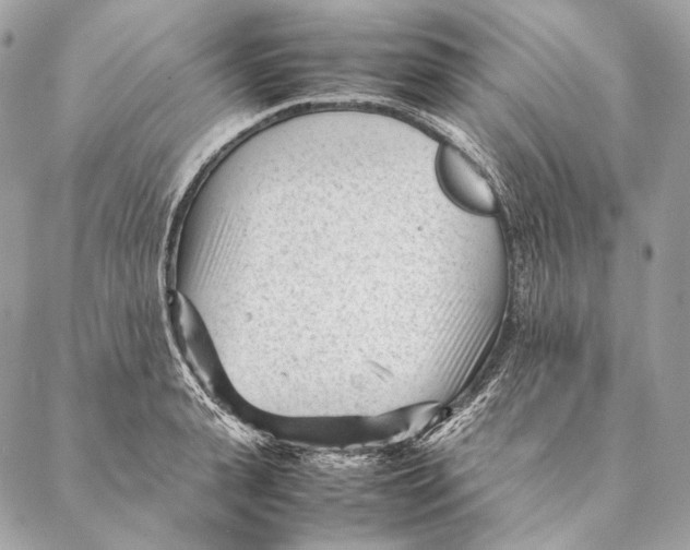 X0000087390943200705111757