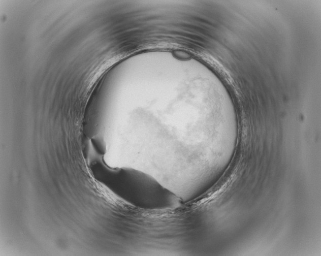 X0000087390945200705111757