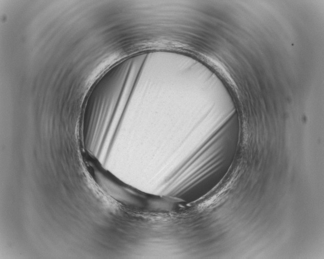 X0000087390946200705111757