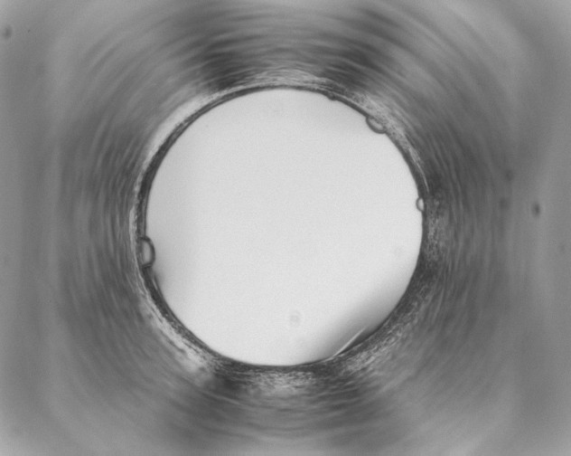 X0000087390947200705111757