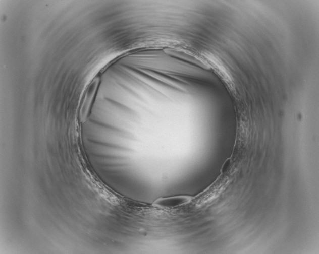 X0000087390948200705111757