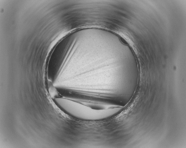 X0000087390949200705111757