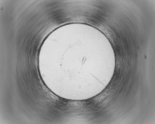 X0000087390950200705111757