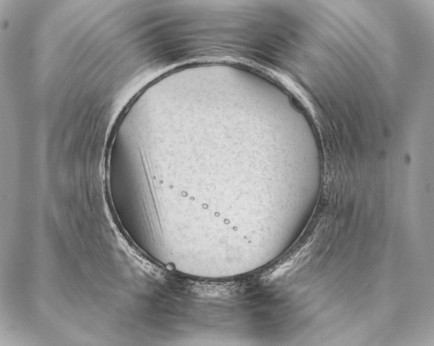 X0000087390951200705111757