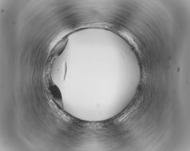 X0000087390952200705111757