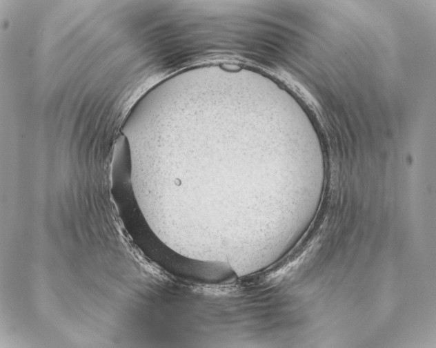 X0000087390953200705111757