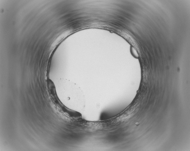 X0000087390954200705111757