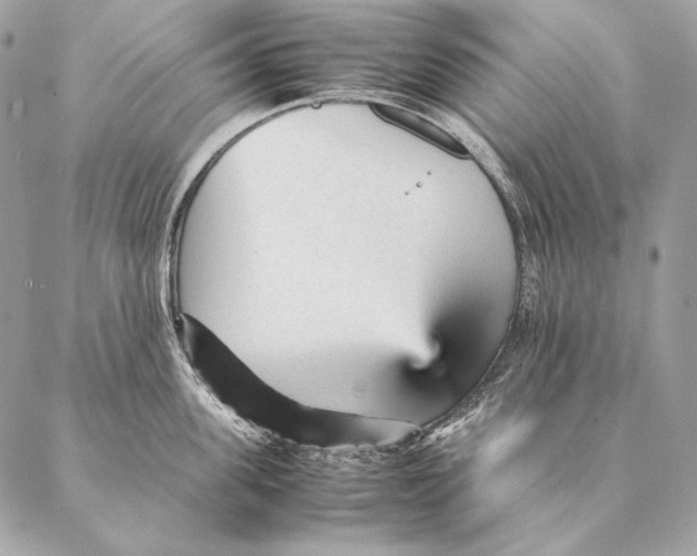 X0000087390955200705111757